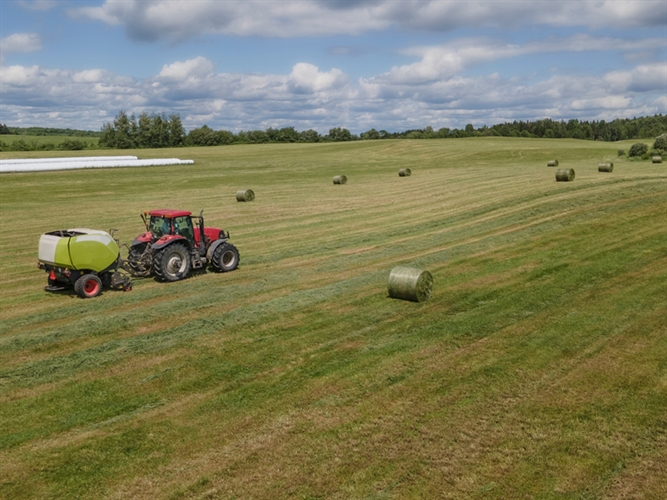 Balers Choice Hay Preservation