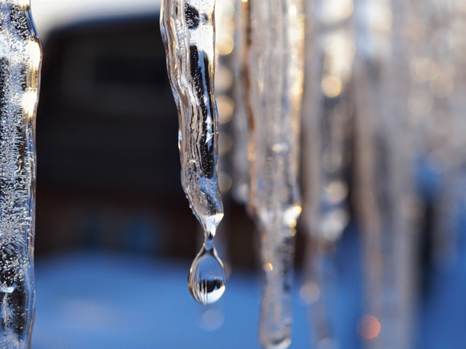 Close up of a melting icicle 